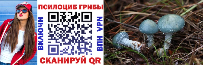 Псилоцибиновые грибы мицелий Купить где Видное